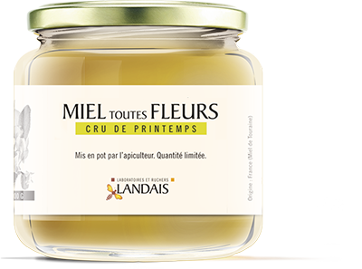 miel toutes fleurs printemps